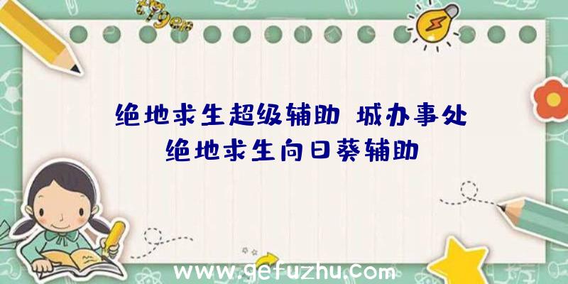 「绝地求生超级辅助p城办事处」|绝地求生向日葵辅助